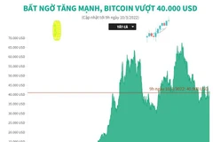 [Infographics] Bất ngờ tăng mạnh, giá Bitcoin vượt 40.000 USD