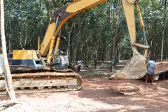 Truy tìm phương tiện đổ trộm khoảng 20 tấn rác thải trong vườn cao su
