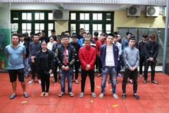 Hà Nội: Triệt phá các ổ nhóm làm giả bằng lái xe giả với quy mô lớn