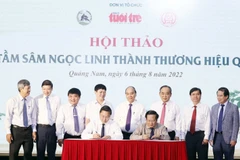 Chủ tịch nước: Phát triển ngành sâm Ngọc Linh đạt giá trị tỷ đôla