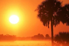 Tổ chức Khí tượng thế giới: 2021 là một trong 7 năm nóng kỷ lục