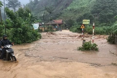 Bắc Giang: Mưa lớn gây ngập úng khoảng 600ha cây ăn quả và hoa màu