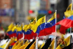 Ổn định tiền tệ để chống lạm phát: Lựa chọn nào cho Venezuela? 