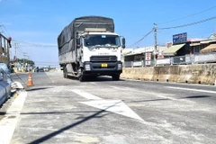 Đồng Nai thông xe cầu vượt Dầu Giây sau nhiều năm lỡ hẹn