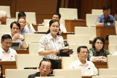 Chất vấn tại Kỳ họp thứ 3: Đáp ứng mong mỏi của cử tri, nhân dân