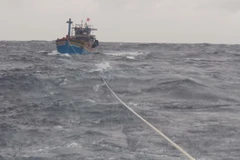 Bình Thuận: 4 tàu cá đề nghị hỗ trợ khẩn cấp do gặp sự cố