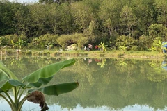 Nam thanh niên tử vong sau khi nhảy xuống hồ bơi trong lúc ăn nhậu