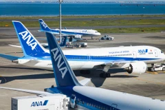 Bác tin máy bay từ Nhật về Việt Nam quay đầu vì bị từ chối nhập cảnh