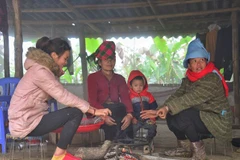 Vùng núi Bắc Bộ có nơi rét đậm, nhiệt độ giảm xuống dưới 10 độ C