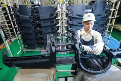 Nhật Bản tìm cách giảm phí môi giới cho các thực tập sinh Việt Nam 