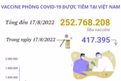 Hơn 252,76 triệu liều vaccine phòng COVID-19 đã được tiêm tại Việt Nam