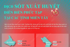 Dịch sốt xuất huyết diễn biến phức tạp tại các tỉnh miền Tây