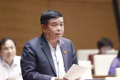 Bộ trưởng Bộ Kế hoạch và Đầu tư Nguyễn Chí Dũng phát biểu giải trình, làm rõ một số vấn đề đại biểu Quốc hội nêu. (Ảnh: Doãn Tấn/TTXVN)