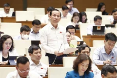 Đại biểu Quốc hội tỉnh Thanh Hóa Võ Mạnh Sơn phát biểu. (Ảnh: Doãn Tấn/TTXVN)