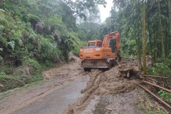 (Ảnh minh họa: TTXVN phát)