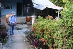 Phun thuốc khử trùng, diện lăng quăng, bọ gậy. (Ảnh minh họa: Công Mạo/TTXVN)