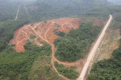 (Ảnh minh họa: TTXVN phát)