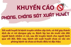 [Infographics] Khuyến cáo phòng, chống sốt xuất huyết