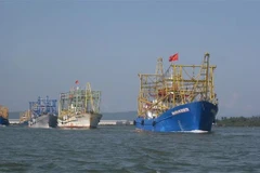 (Ảnh minh họa: Đoàn Hữu Trung/TTXVN)