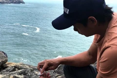 Tiến sỹ Võ Tấn Phong, Ban quản lý và khai thác yến Cù Lao Chàm trực tiếp cứu hộ và chăm sóc yến non. (Ảnh: Đoàn Hữu Trung/TTXVN)