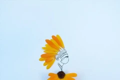 Những cánh hoa cúc làm nên vẻ đẹp cho trang phục thổ dân. (Nguồn: Sputnik)