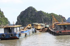 (Ảnh minh họa: Nguyễn Hoàng/TTXVN)