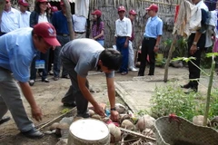 Khảo sát và hướng dẫn các hộ dân diệt muỗi, loăng quăng đúng cách. (Ảnh: Thanh Hòa/TTXVN)