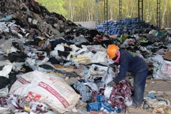 (Ảnh minh họa: Lê Đức Hoảnh/TTXVN)