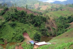 (Ảnh minh họa: Chu Quốc Hùng/TTXVN)