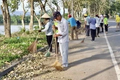 Đông đảo người dân ra quân Ngày Chủ nhật xanh dọn dẹp cây xanh trên địa bàn toàn tỉnh. (Ảnh: Mai Trang/TTXVN)