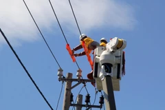 Công nhân kỹ thuật sửa chữa đường dây trung áp khi đang có điện. (Ảnh: Xuân Triệu/TTXVN)