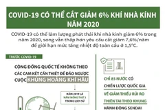 [Infographics] COVID-19 có thể làm giảm tới 6% lượng khí nhà kính