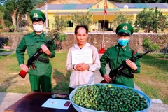 Đối tượng Thào A Sáng cùng tang vật vụ án. (Ảnh: Trịnh Duy Hưng/TTXVN)