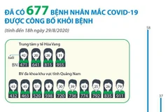 [Infographics] Đã có 677 bệnh nhân mắc COVID-19 được công bố khỏi bệnh