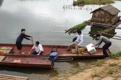 Lực lượng Thú y lấy mẫu xác định nguyên nhân cá trên sông Mã chết bất thường. (Ảnh: TTXVN phát)