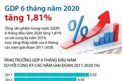 [Infographics] Tổng sản phẩm trong nước 6 tháng đầu năm tăng 1,81%
