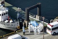 Nhân viên y tế chuyển các bệnh nhân nhiễm virus 2019-nCoV từ tàu du lịch "Diamond Princess" lên xe cứu thương tại cảng Yokohama, Nhật Bản ngày 5/2 vừa qua. (Ảnh: THX/TTXVN)