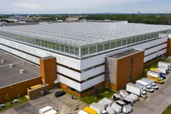 Khu vườn trên mái một trung tâm thương mại lớn nhất thế giới ở Montreal mà Lufa Farms vừa khai trương. (Nguồn: bangkokpost)