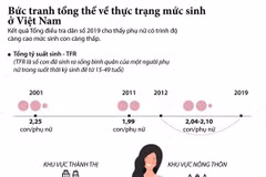 [Infographics] Bức tranh tổng thể về thực trạng mức sinh ở Việt Nam