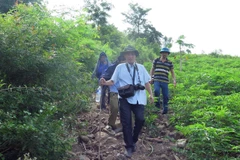 Nhóm phóng viên được công an xã dẫn đường đến nơi rừng bị chặt phá cách trung tâm xã Phú Mỡ 4km. (Ảnh: Xuân Triệu/TTXVN)