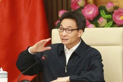 Phó Thủ tướng Vũ Đức Đam phát biểu. (Ảnh: Doãn Tấn/TTXVN)