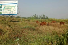 Khu tái định cư khởi công lại sau hơn 10 năm buộc dừng thi công