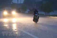 Ảnh minh họa. (Ảnh: Duy Khương/TTXVN)