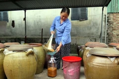 [Photo] Làng nghề tương nếp Úc Kỳ tại tỉnh Thái Nguyên