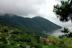 Khung cảnh trong vườn Quốc Gia Tam Đảo.