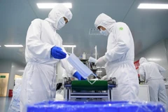 Công nhân làm việc tại nhà máy sản xuất khẩu trang. (Ảnh: THX/TTXVN)