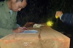 Tang vật của vụ phát hiện chở gỗ tại tiểu khu 258 xã Đăk Tơ Kan huyện Tumơrông sáng 5/3. (Ảnh: TTXVN phát)