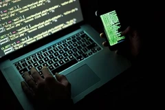 Ảnh minh họa. (Nguồn: Getty Images)