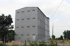 Nhà nuôi chim yến. (Ảnh: Lê Huy Hải/TTXVN)