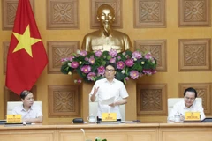Phó Thủ tướng Vũ Đức Đam, Phó Chủ tịch Hội đồng Quốc gia Giáo dục và Phát triển nhân lực phát biểu. (Ảnh: Doãn Tấn/TTXVN)